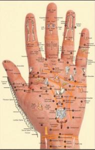 punti della mano corrispondenti al corpo